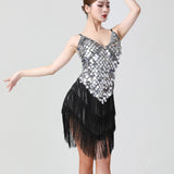 1920s Charleston Flapper Girl Fancy Dress Fringe Sequin Dress Sexy V-Neck Spaghetti Strap Party Latin Dance Costume