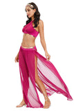 Women Sexy Belly Dance Jasmine Princess Costume Outfit Set Bras+ Skirt + Headwear Female Bollywood Dance Dresses