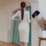 Fashion Women's Spring Dress Elegant Office Ladies Wear Vestidos Femme Slim Sheath Bodycon Dress