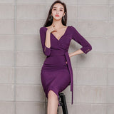 Autumn Women Vintage Elegant Office Lady V-Neck Vestidos Business Waistbelt Bodycon Slim Dress