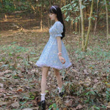 2021 Print Sweet Kawaii Mini Dress Women Japanese Vintage Cute Blue Lace-up Dress French Princess Sequin Puff Sleeve Fairy Dress