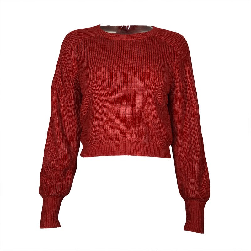 Ribbed Crop Pull Long Sleeve Jumper Round Neck Chic Knitted Casual Sweater Pullover