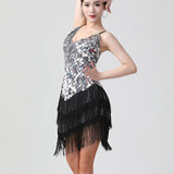 1920s Charleston Flapper Girl Fancy Dress Fringe Sequin Dress Sexy V-Neck Spaghetti Strap Party Latin Dance Costume