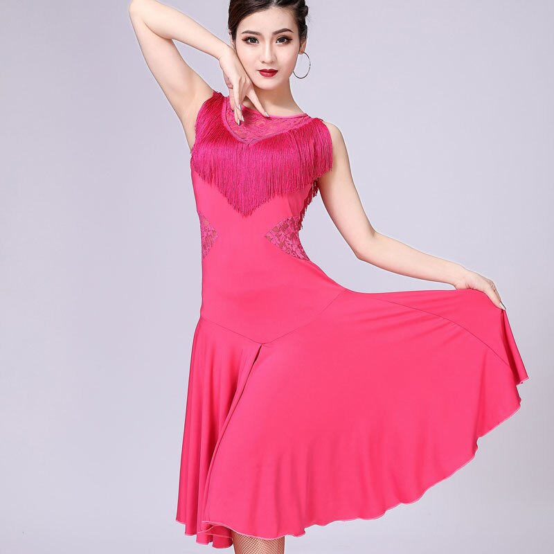 Fringe Latin Salsa Dance Dress Performance Stage Show Costume Sleeveless Sheer Floral Lace A-Line Swing Dress