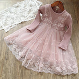 Baby Girls Fancy Lace Designs Dress Princess Costume Kids Vestido