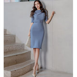 Women Bodycon Office Lady Dress Spring Summer Clothes Long Sleeve Sexy Party Dress