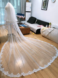 Long Veil Bride veil wedding veil luxurious Lace 2 layers Wedding accessories Veu De Noiva