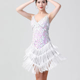 1920s Charleston Flapper Girl Fancy Dress Fringe Sequin Dress Sexy V-Neck Spaghetti Strap Party Latin Dance Costume