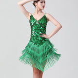 1920s Charleston Flapper Girl Fancy Dress Fringe Sequin Dress Sexy V-Neck Spaghetti Strap Party Latin Dance Costume