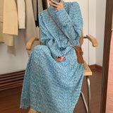 Women Vintage Loose Print Long Sleeve A-Line Maxi Vestidos Autumn Spring New Elegant Vintage Ruffles Dresses