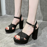 Super High Heels Sandals Women Summer Black Ankle Strap Sandalias Mujer Thick Heeled Platform Shoes
